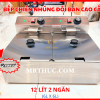 bếp chiên nhúng điện đôi eton zl2,bếp chiên eton zl2