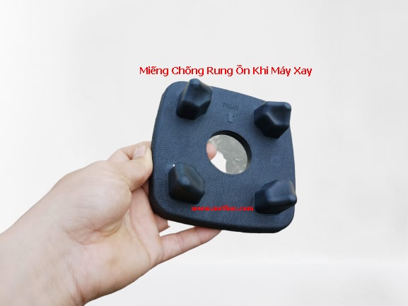 Mr Thức Việt Nam