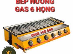 bếp nướng bằng gas 6 họng eton k233